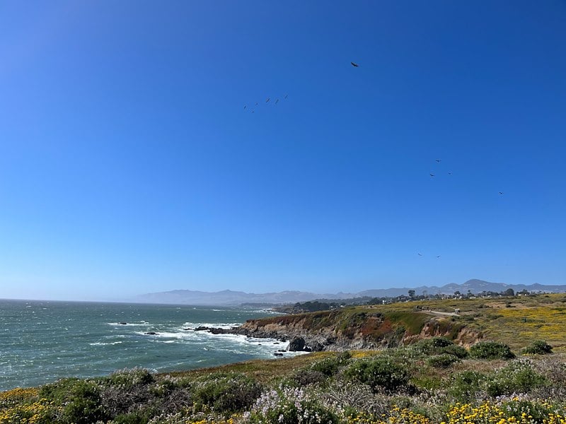 A coastal landscape with a blue sky, ocean, and mountains in the distance.