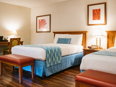 Alamo Inn and Suites — photo 60 of 60